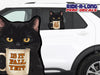 *NEW PRE-ORDER* Black Cat with Is It Fall Yet Mug *RIDE A LONG* Perforated Decal