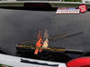 Cardinal Birds WiperTags
