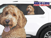 *NEW* Doodle Dog *RIDE A LONG* Perforated Decal