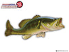 Largemouth Bass WiperTag