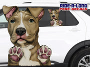 *NEW* Pitbull *RIDE A LONG* Perforated Decal