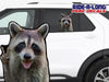 *NEW* Raccoon Peace *RIDE A LONG* Perforated Decal