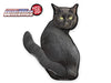 REAL Cat Black Tail Wagging WiperTags
