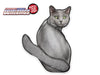 REAL Cat Grey Tail Wagging WiperTags