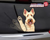 *NEW* Scottish Wheaten Terrier Waving Dog WiperTags