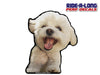 *NEW* Shih Tzu White *RIDE A LONG* Perforated Decal