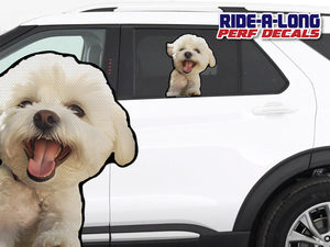 *NEW* Shih Tzu White *RIDE A LONG* Perforated Decal