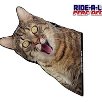 *NEW* Screaming Cat *RIDE A LONG* Perforated Decal