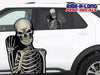 Skeleton Wave *RIDE A LONG* Perforated Decal