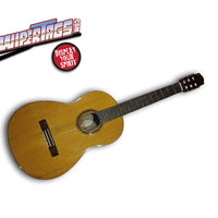 Acoustic Guitar WiperTags