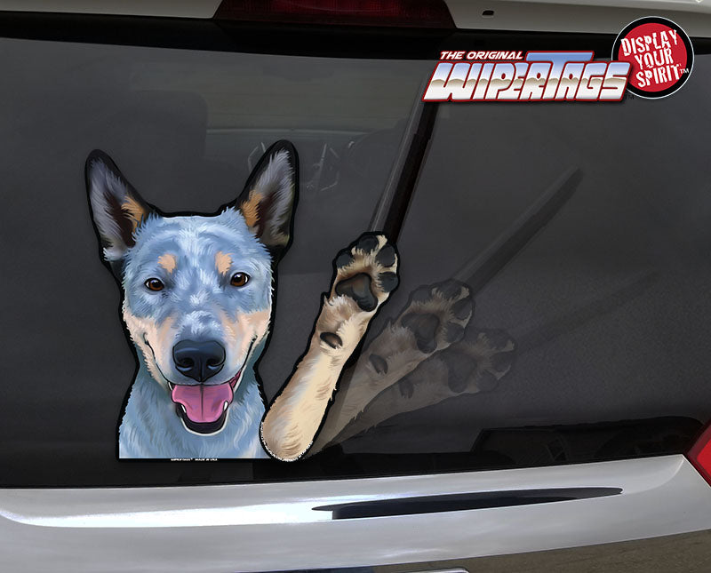 Blue heeler shop car stickers