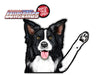 Border Collie Riley Dog Waving WiperTags