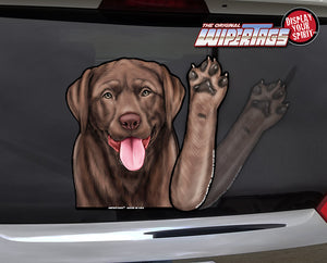 INDIGOS UG Adesivo – Adesivo per auto – JDM – Die Cut – Labrador – bianco – 150 x 119 – Tuning – Sticker – lunotto posteriore – auto, bicicletta – moto INDIGOS UG Adesivo – Adesivo per auto – JDM – Die Cut – Labrador – bianco – 150 x 119 – Tuning – Sticker – lunotto posteriore – auto, bicicletta – moto