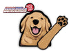 Bailey Golden Retriever Dog Waving