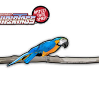 Macaw Parrot WiperTags